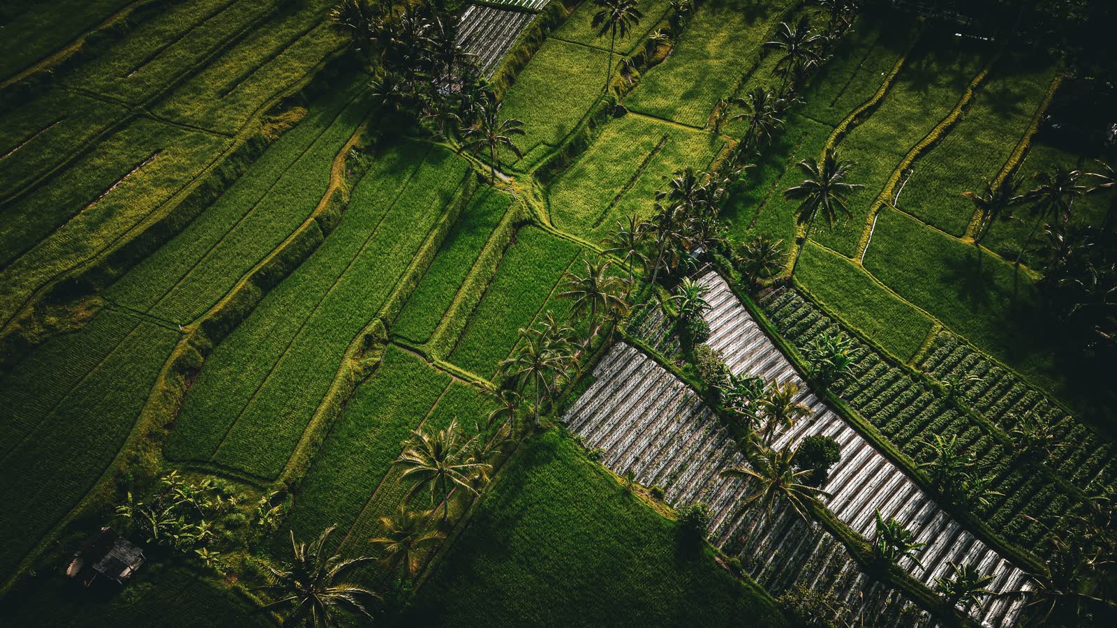 Indonesia, Foto 3