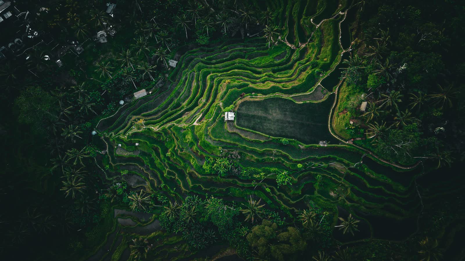 Indonesia